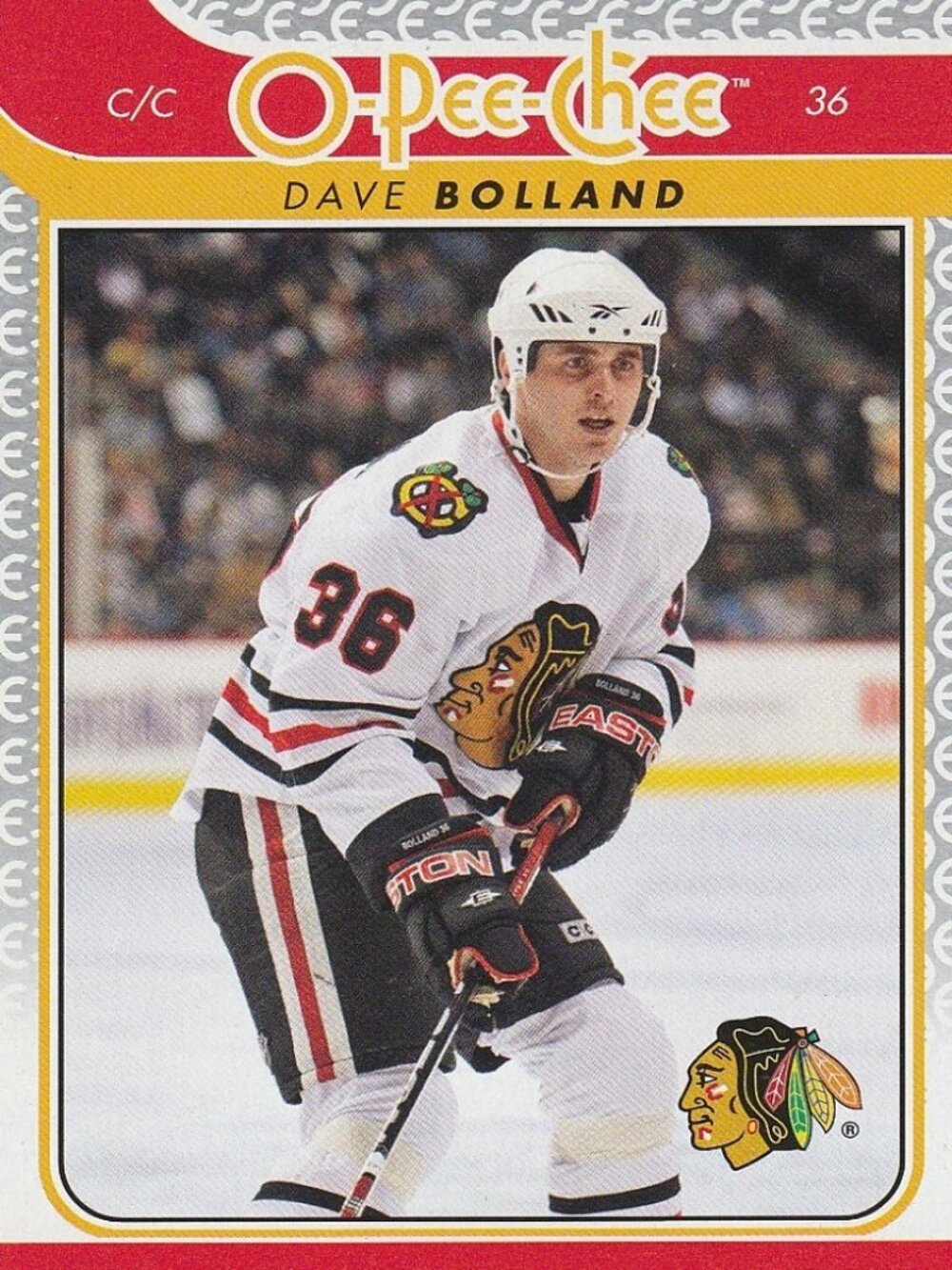 Dave Bolland - 2009-10 O Pee Chee Hockey Card